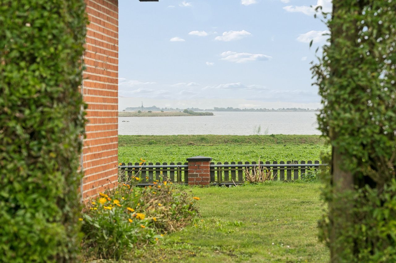image 04